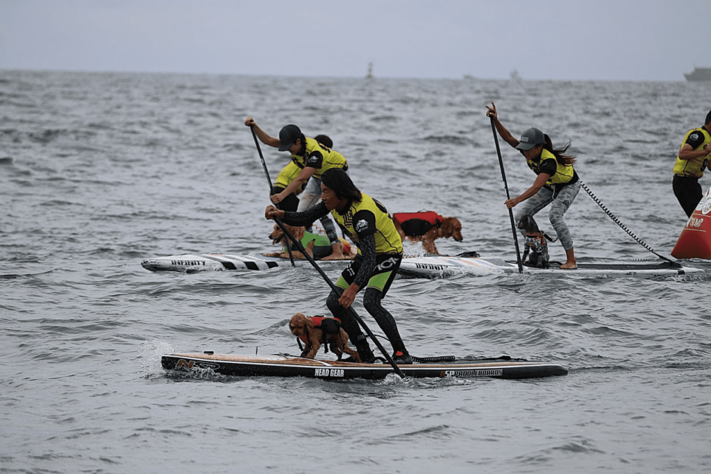SUP らいず in 七ヶ浜 2018年大会 13